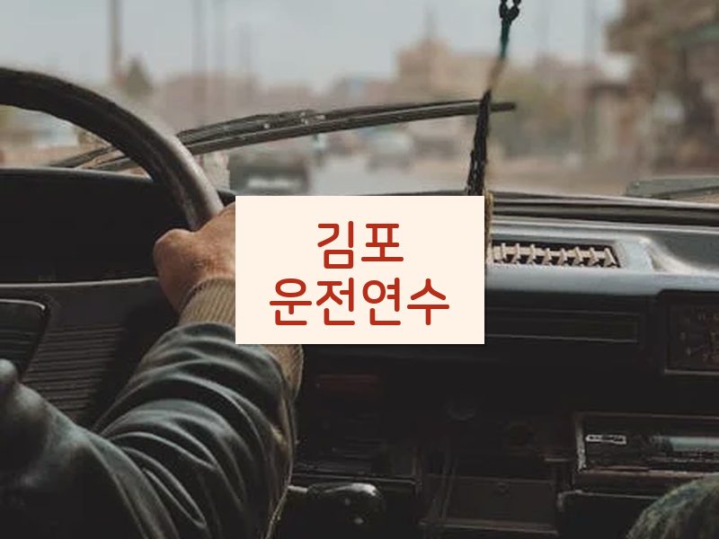 김포운전연수 후기