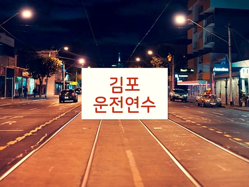 김포운전연수 후기