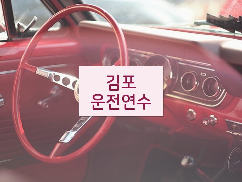 김포운전연수 후기