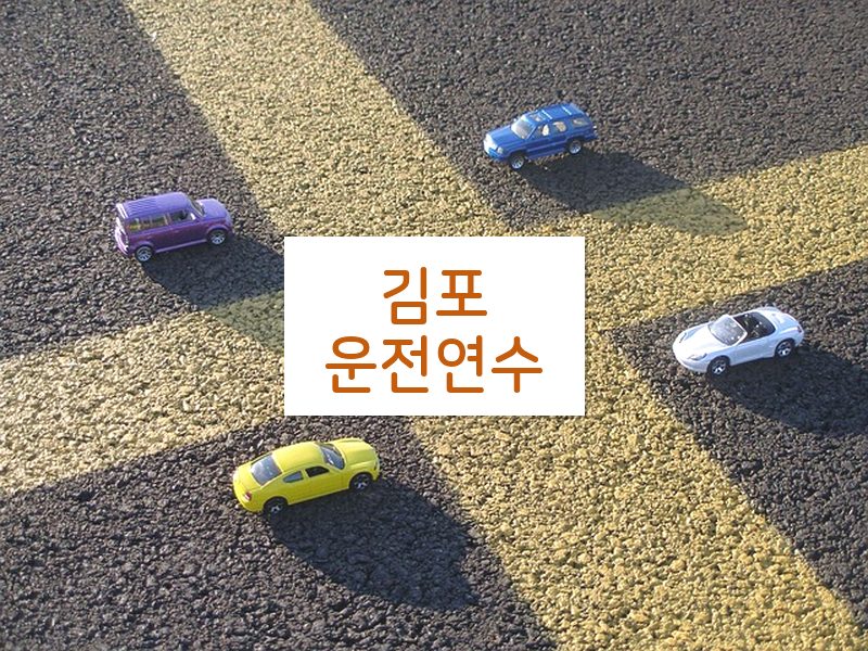 김포운전연수 후기