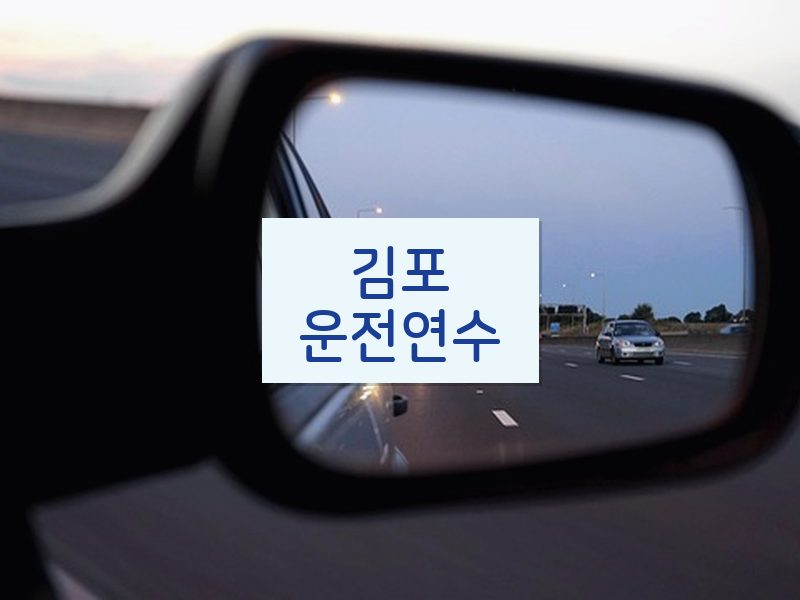 김포운전연수 후기