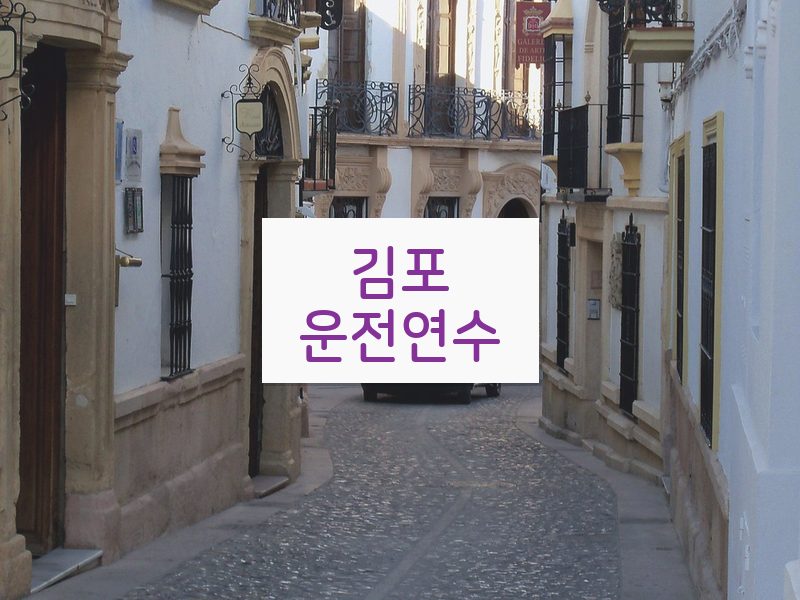 김포운전연수 후기