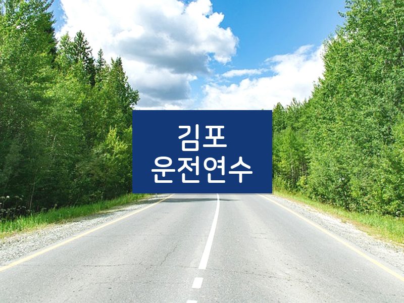 김포운전연수 후기