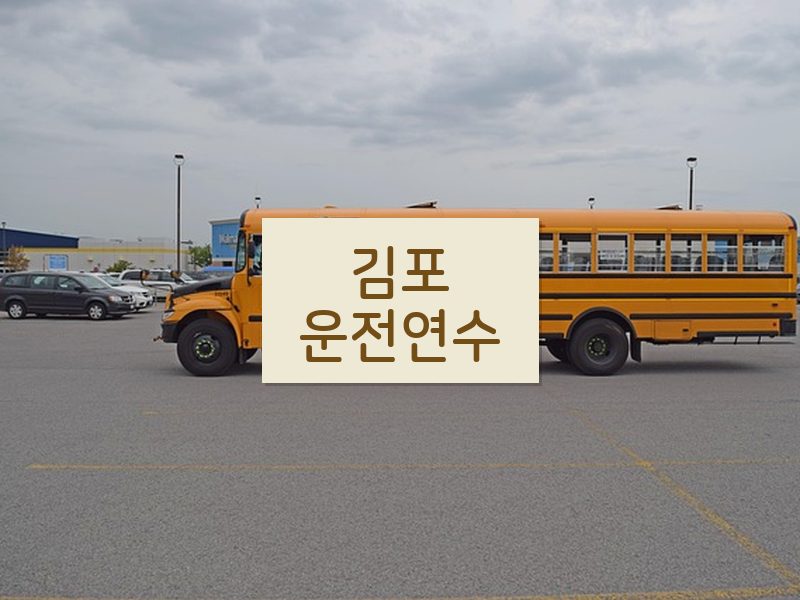 김포운전연수 후기