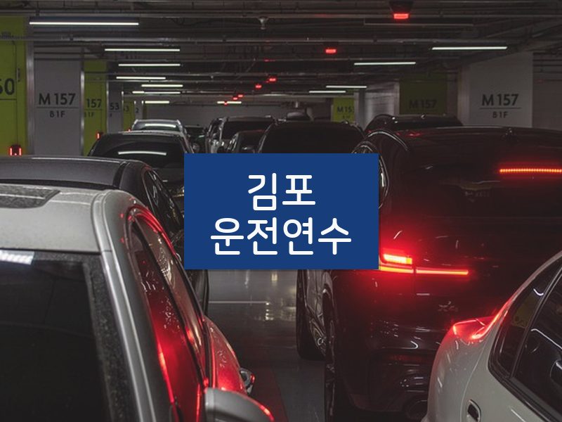 김포운전연수 후기