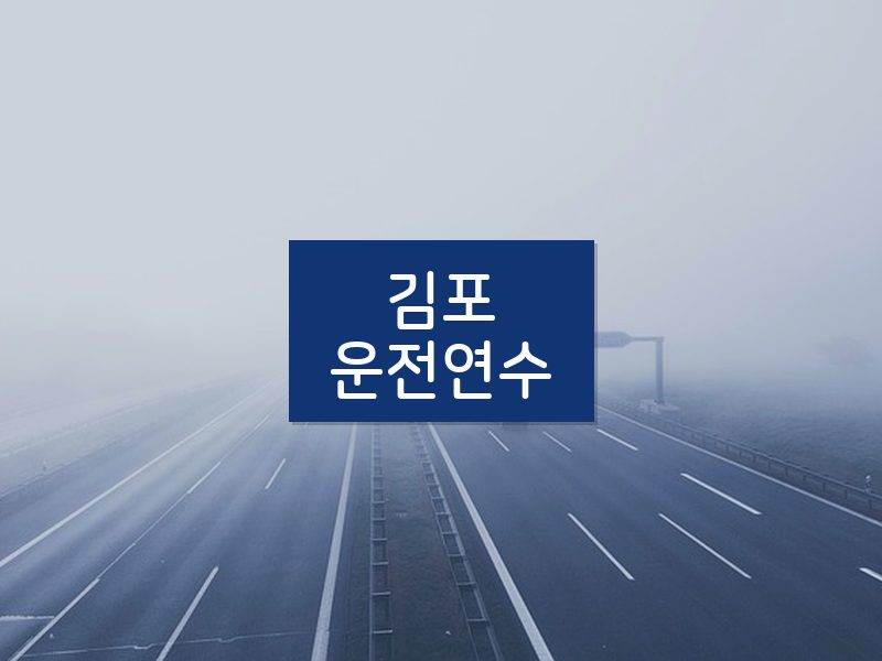 김포운전연수 후기
