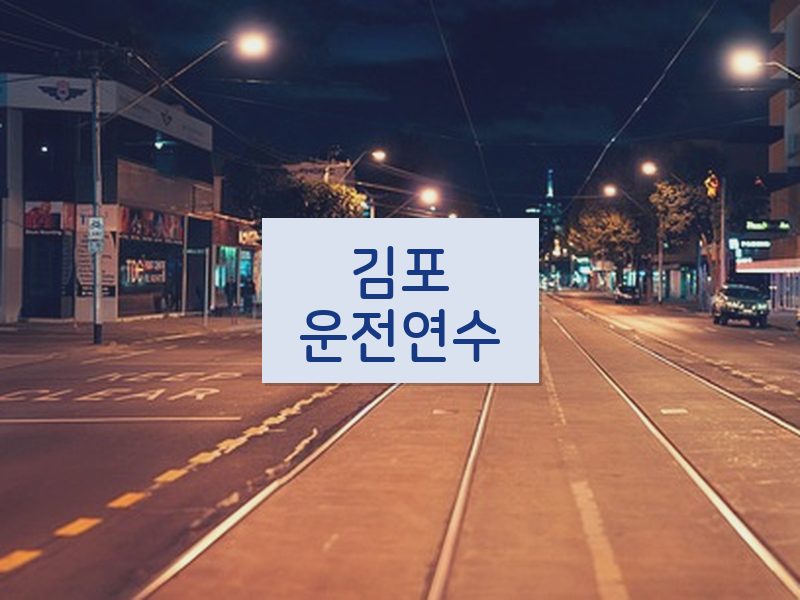 김포운전연수 후기