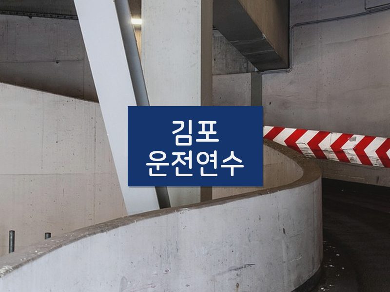 김포운전연수 후기