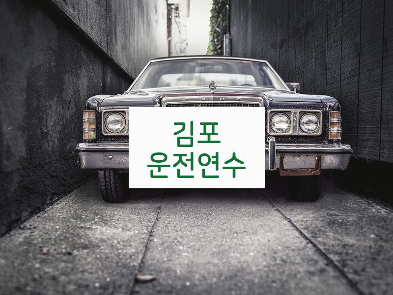 김포운전연수 후기