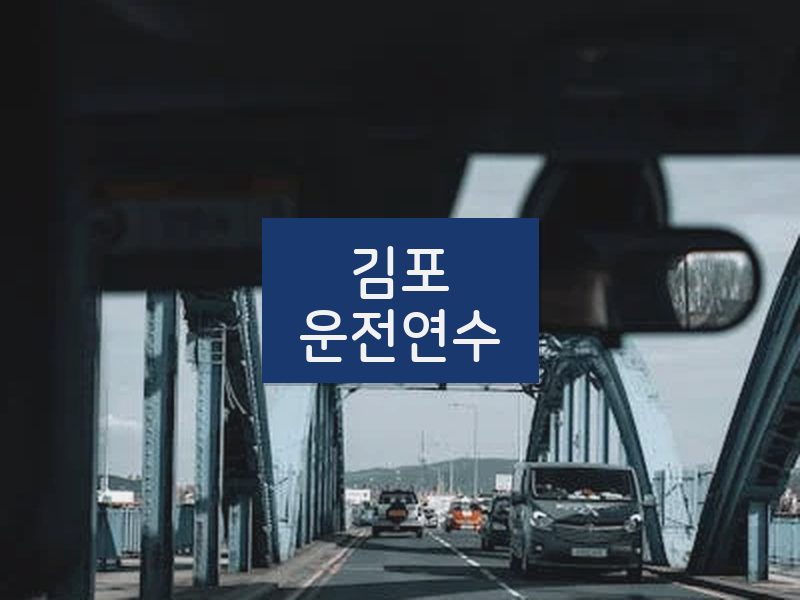 김포운전연수 후기