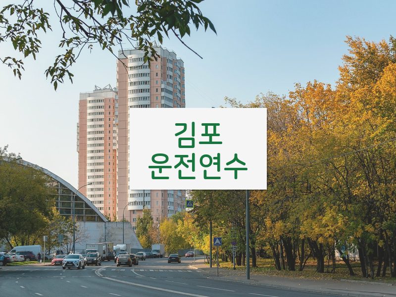 김포운전연수 후기