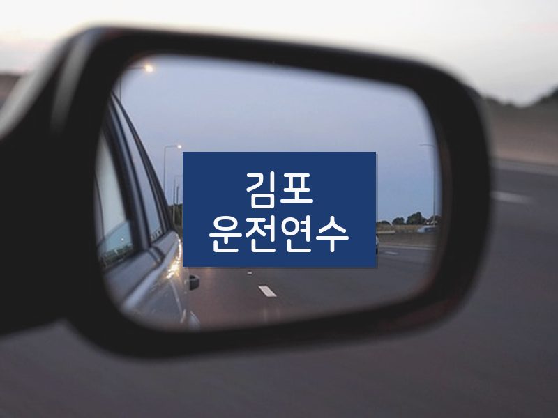 김포운전연수 후기