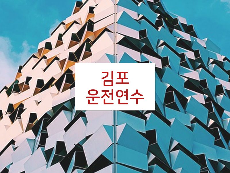 김포운전연수 후기