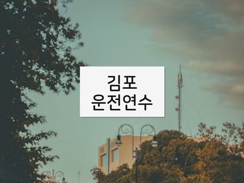 김포운전연수 후기