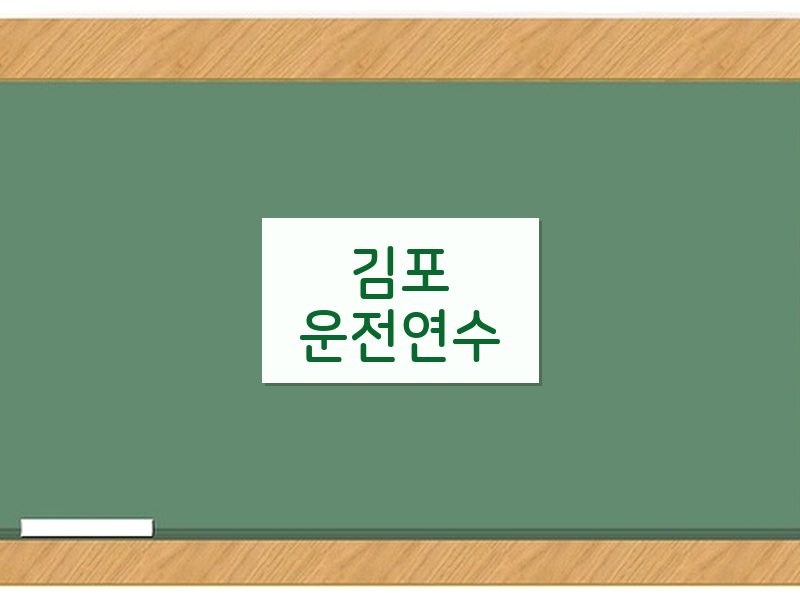 김포운전연수 후기