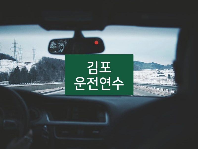 김포운전연수 후기