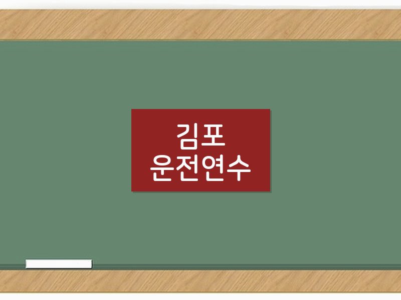 김포운전연수 후기