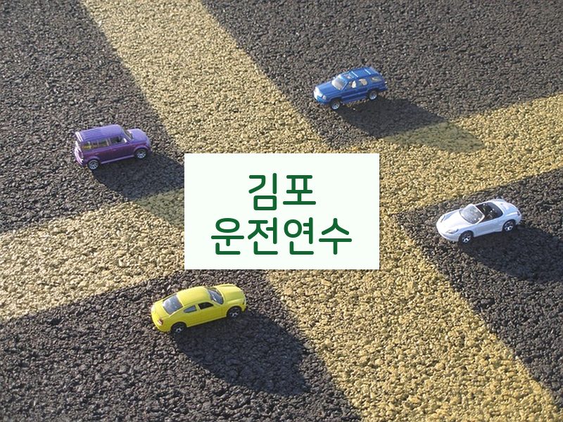 김포운전연수 후기