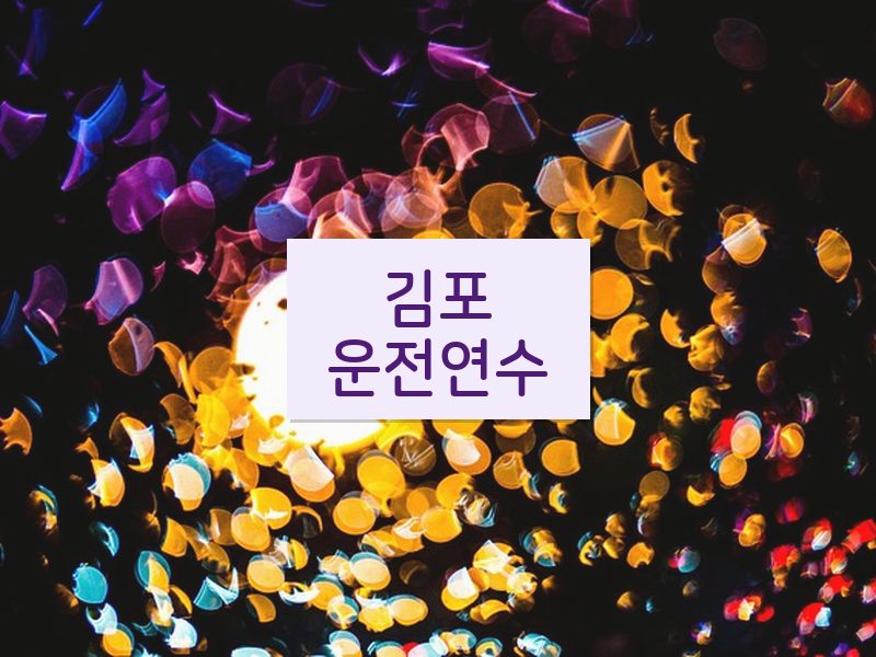 김포운전연수 후기