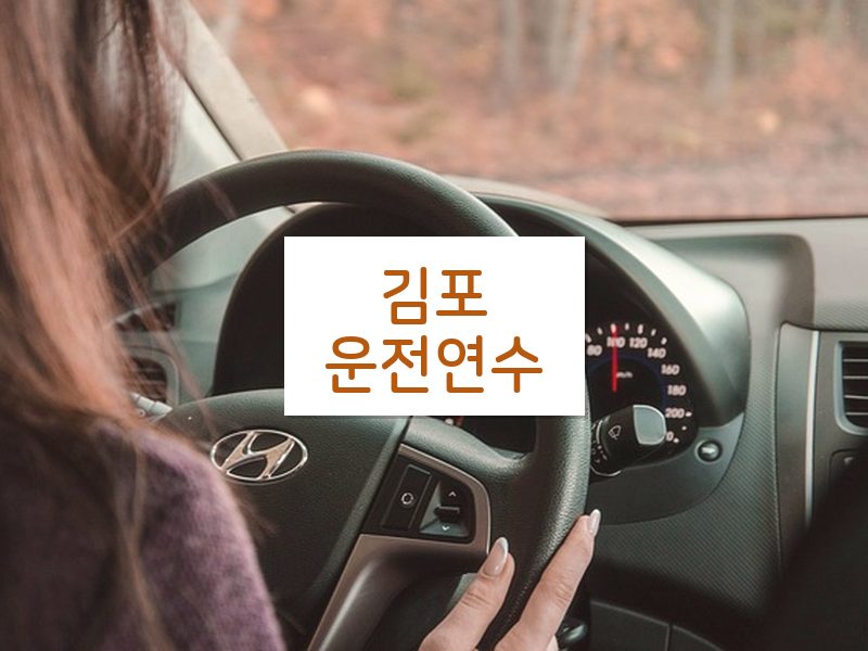 김포운전연수 후기