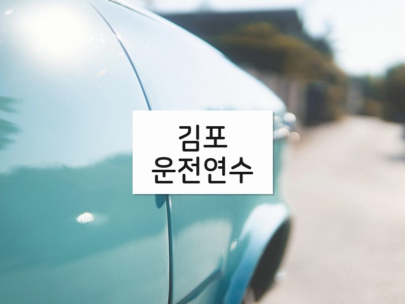 김포운전연수 후기