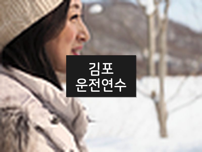 김포운전연수 후기