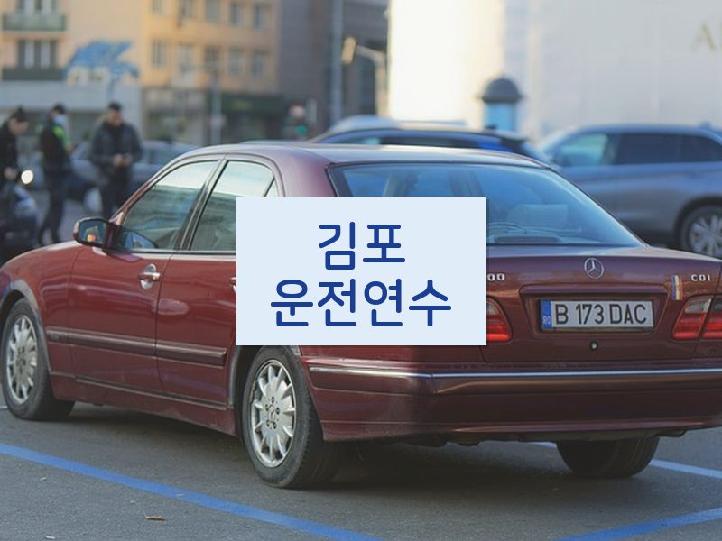 김포운전연수 후기