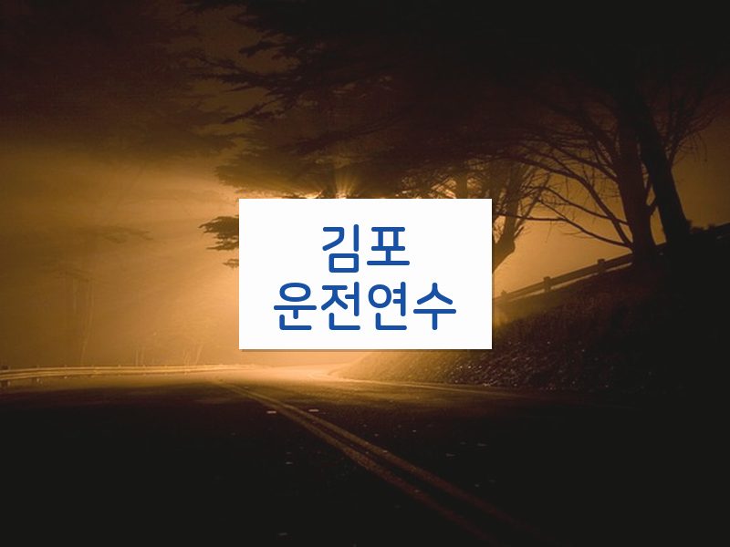 김포운전연수 후기