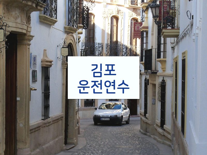 김포운전연수 후기