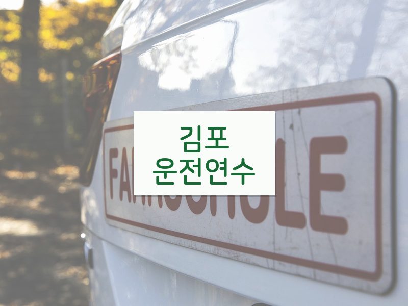 김포운전연수 후기