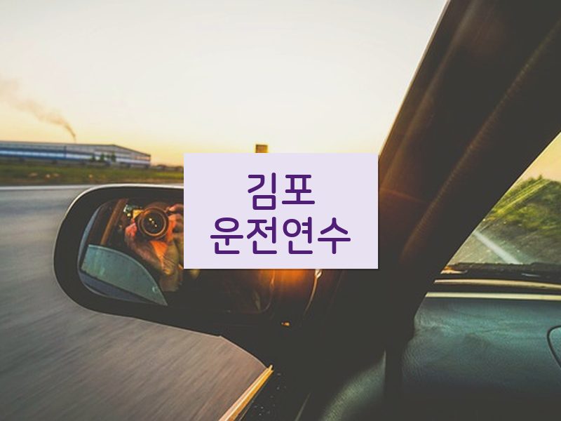 김포운전연수 후기