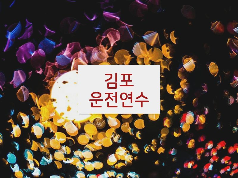김포운전연수 후기