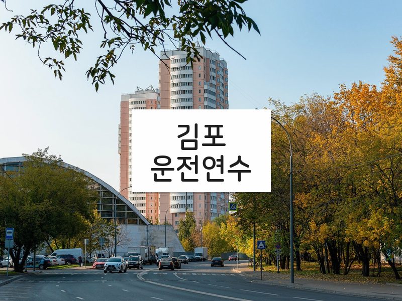 김포운전연수 후기