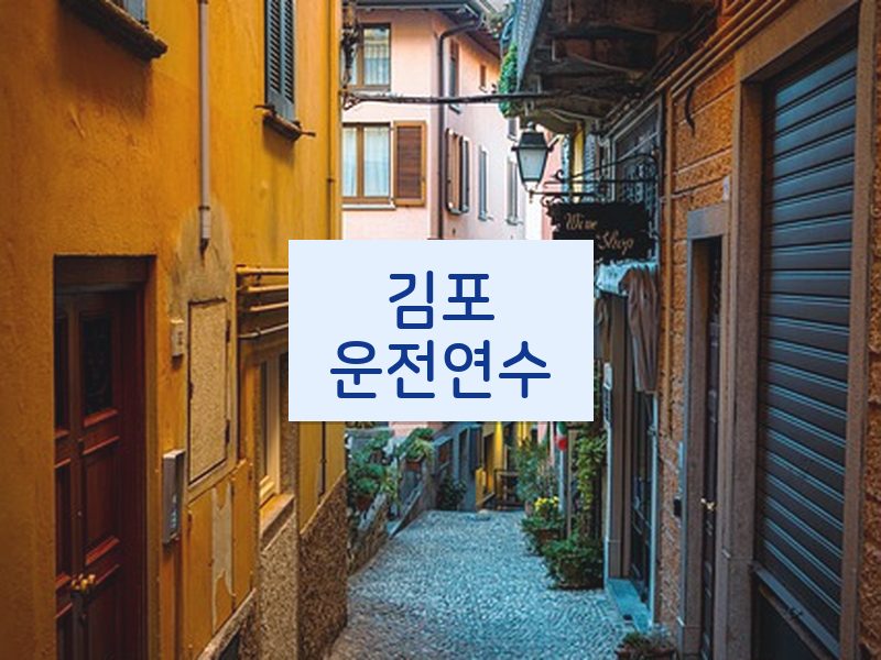 김포운전연수 후기