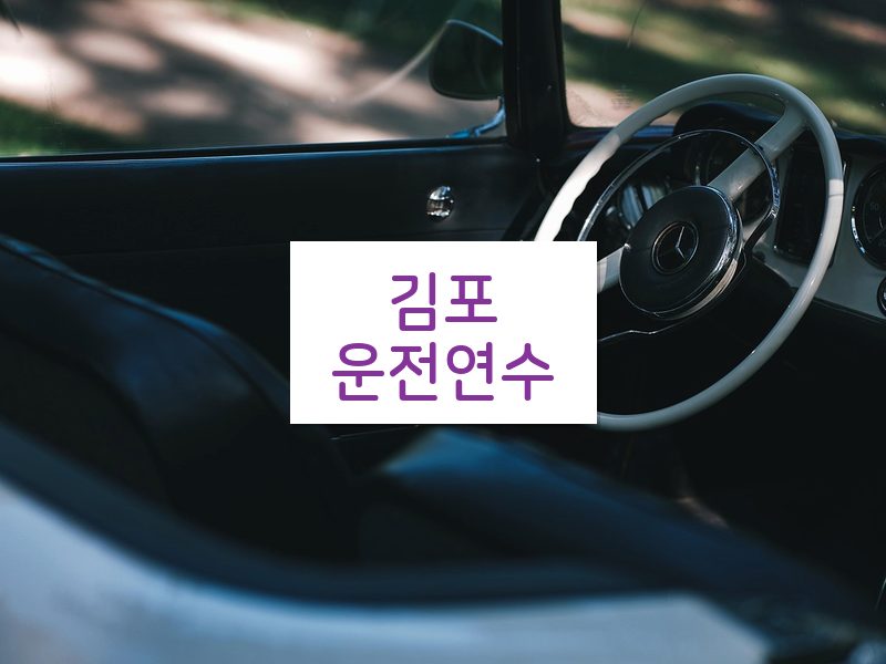김포운전연수 후기
