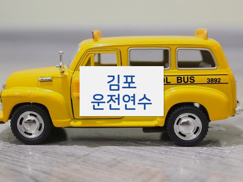 김포운전연수 후기