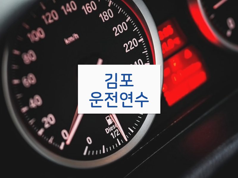김포운전연수 후기