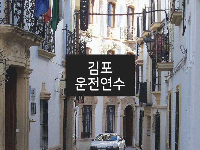 김포운전연수 후기