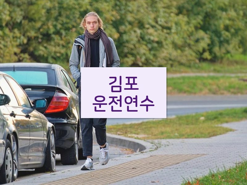김포운전연수 후기