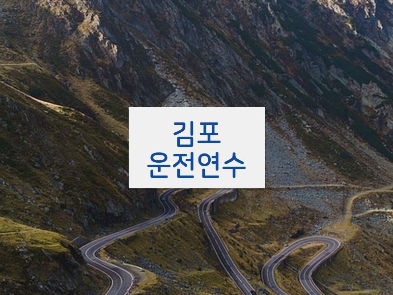 김포운전연수 후기