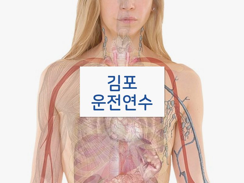 김포운전연수 후기