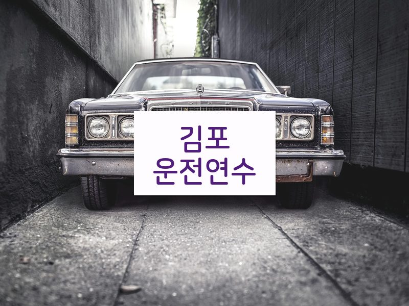 김포운전연수 후기