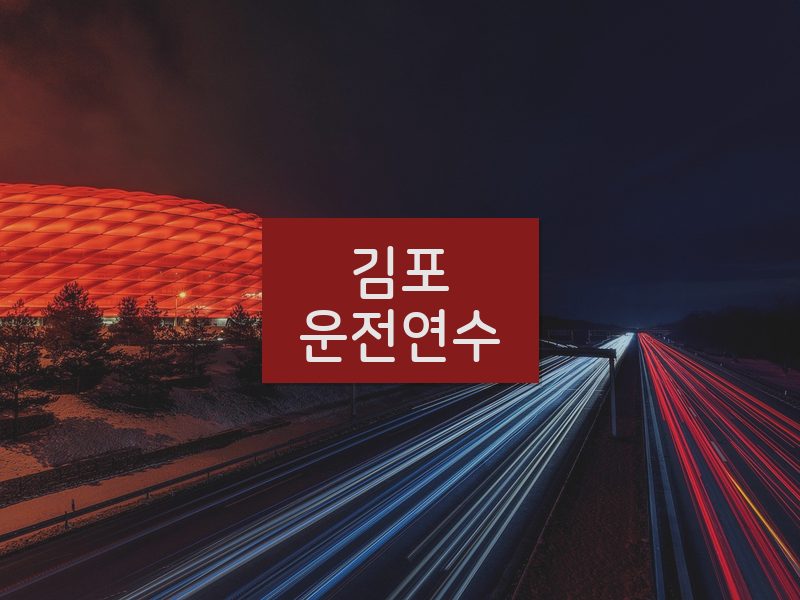 김포운전연수 후기