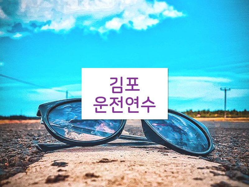 김포운전연수 후기