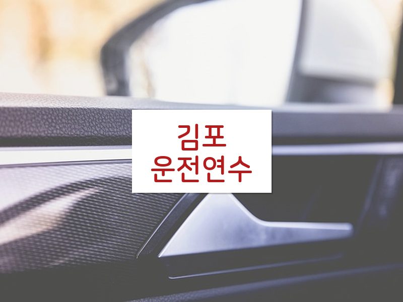 김포운전연수 후기