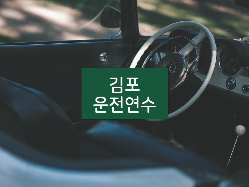 김포운전연수 후기
