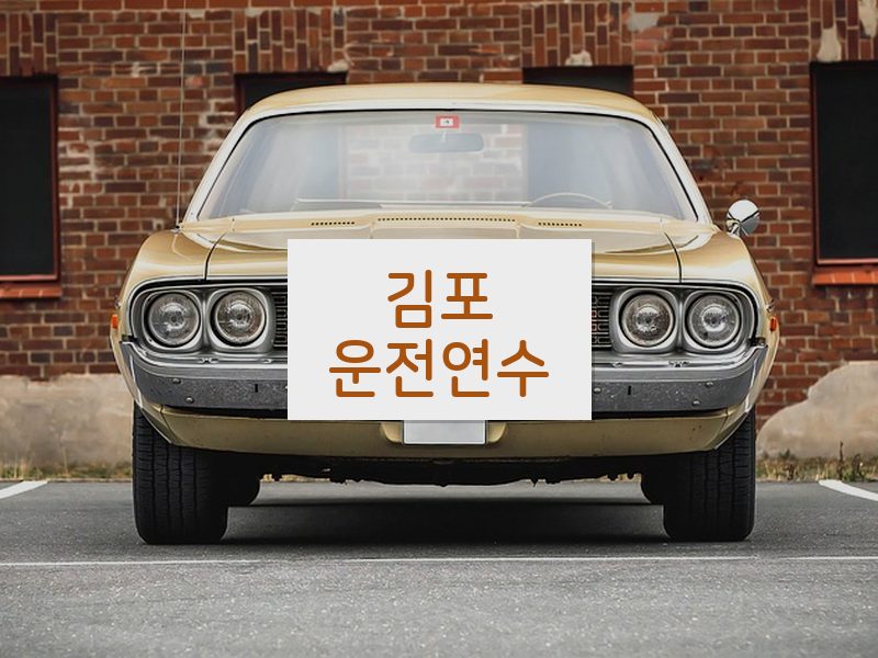 김포운전연수 후기