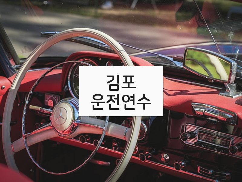 김포운전연수 후기
