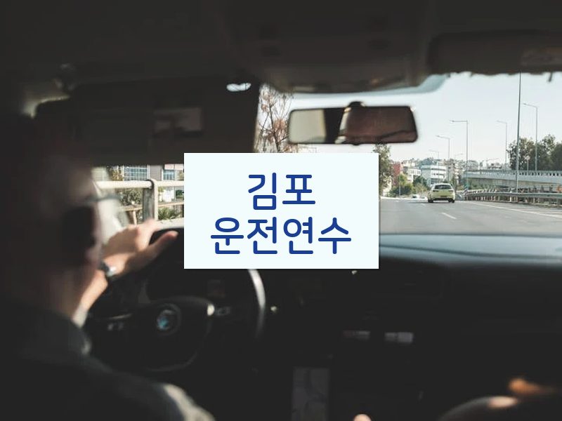 김포운전연수 후기
