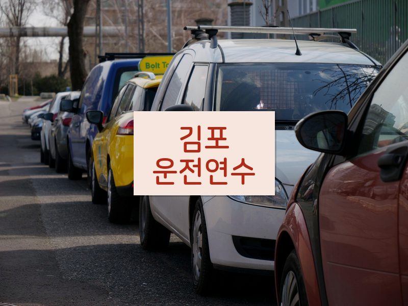 김포운전연수 후기